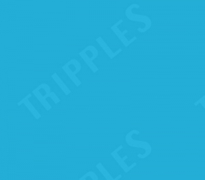 Premises Liability