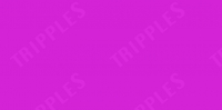 White & Case opens Florida legal support centre